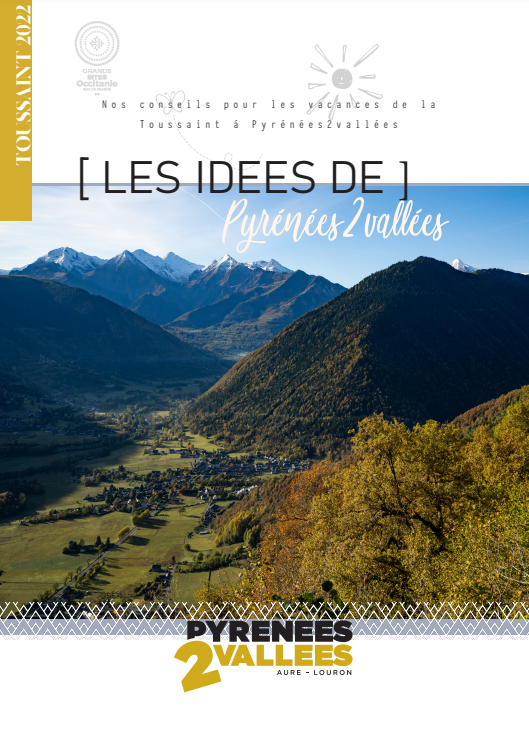 les idées p2v