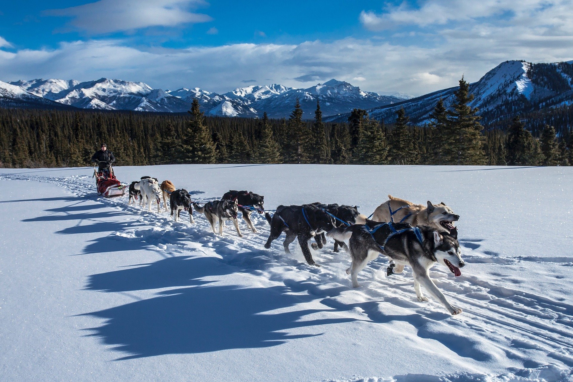 Balade en chiens de traîneau Pyrénées