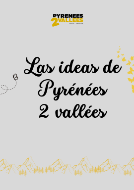 visuel les idées de p2v en esp