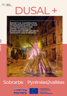 visuel newsletter dusal + janvier 