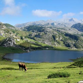 Alquiler de alojamientos en Loudenvielle