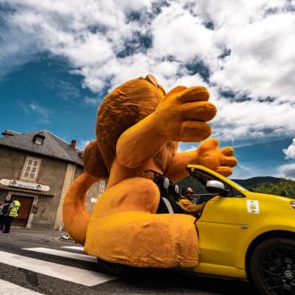 TDF