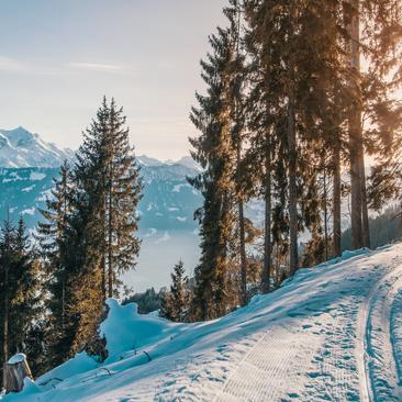 En Pyrénées2vallées, aprende esquí de fondo