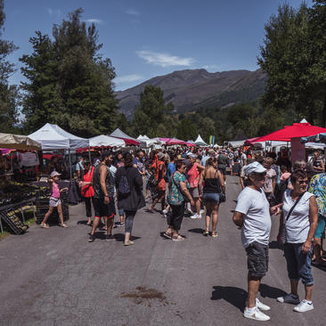 Fêtes et Manifestations Locales