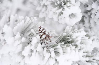 paysage 2021 @piauengaly (4)