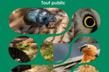 Affiche RNR Fête de la Nature - 1