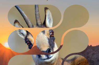 Affiche RNR IPS Isard - 1