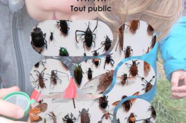 Affiche RNR Pas si bête