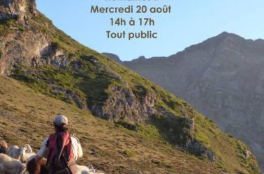 Affiche RNR PAH 