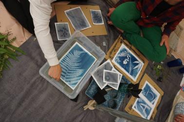 Atelier Cyanotype Camille R