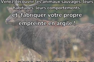 Atelier Faune Sauvage - 1 Atelier Faune Sauvage - 1