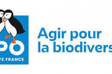 Logo LPO