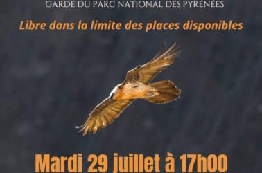 Conférence Georges