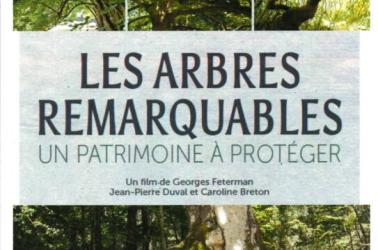 les arbres remarquables les arbres remarquables