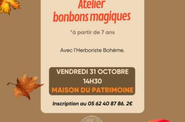 Copie de  Atelier potion magique - 2