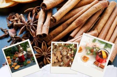 Atelier hiver 2025/2026 - 2