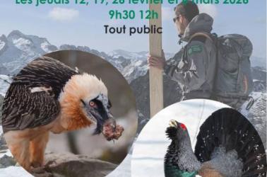 Affiche RNR Aulon 2026 anim' amm 