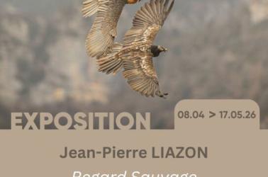 Affiche d'Exposition - Maison du Patrimoine - 4