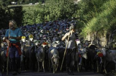 ©aspani-transhumancedesoulan (1)