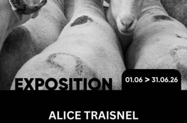 Affiche d'Exposition - Maison du Patrimoine - 6