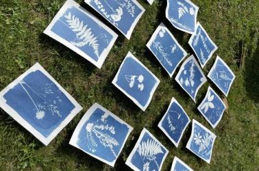 Rndo Cyanotype 4