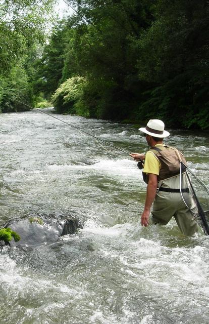 Pêche Neste Pyrénées 65